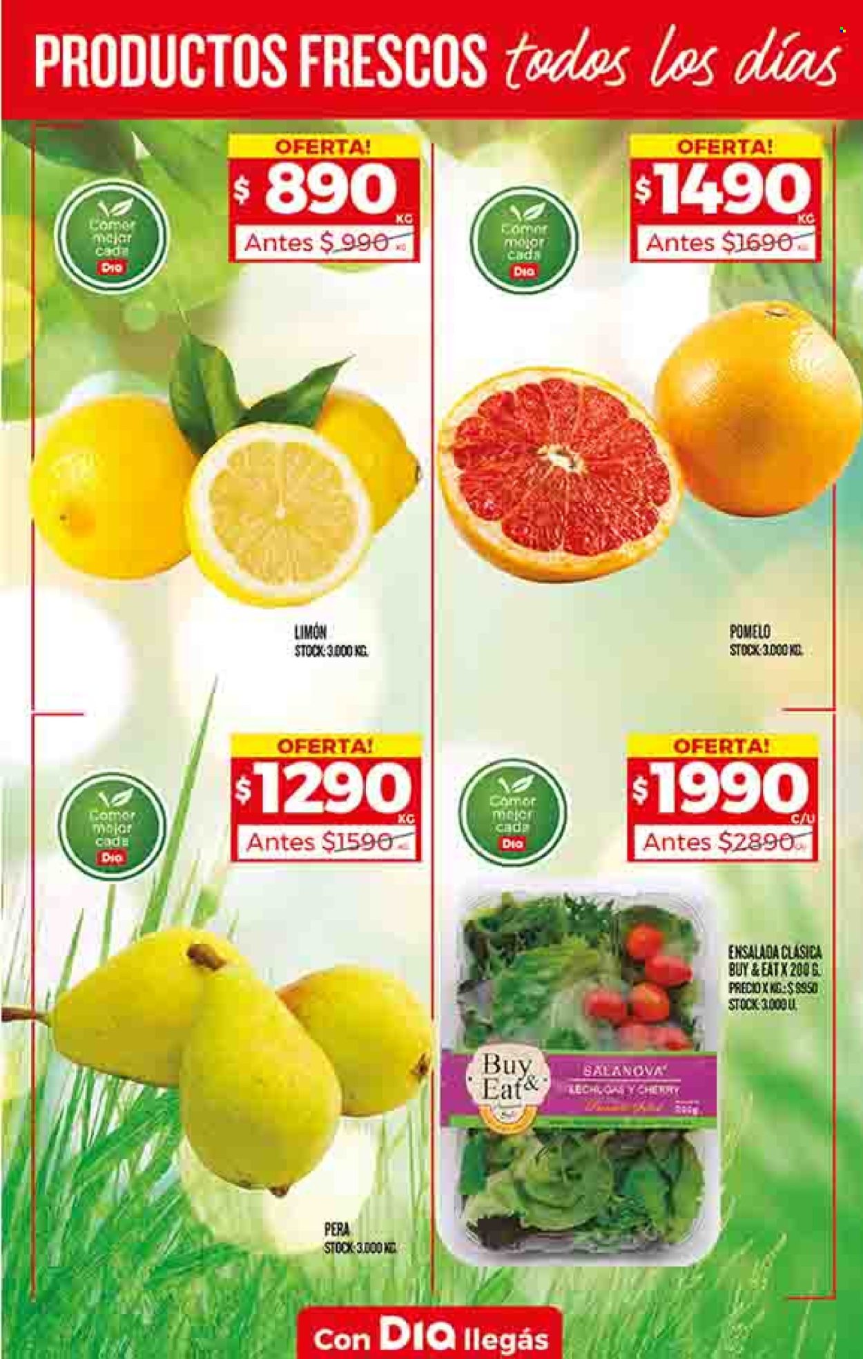 Catálogo Supermercado Dia  - 25.4.2024 - 1.5.2024.